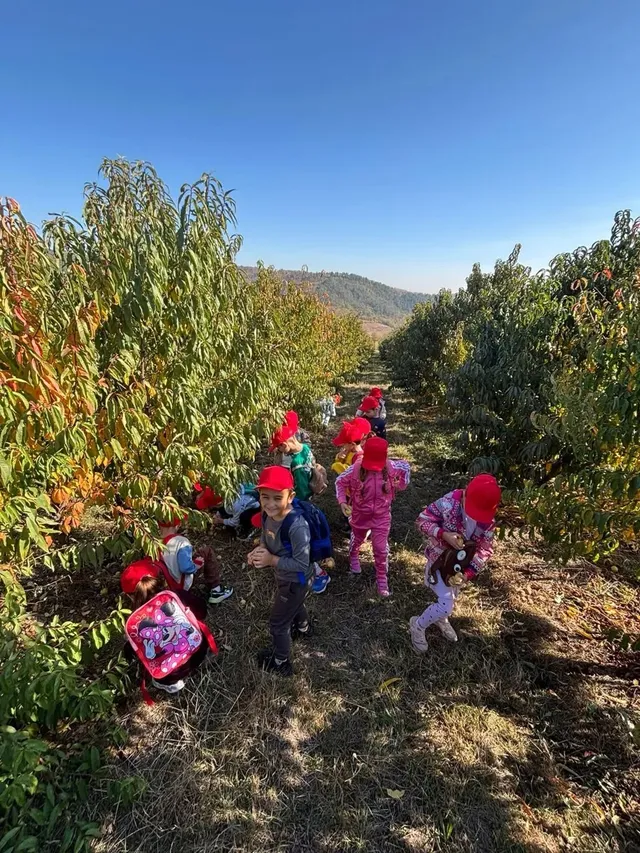 Mai mulți copii îmbrăcați în haine colorate stau sau se ghemuiesc pe o cărare dintre rânduri de pomi.