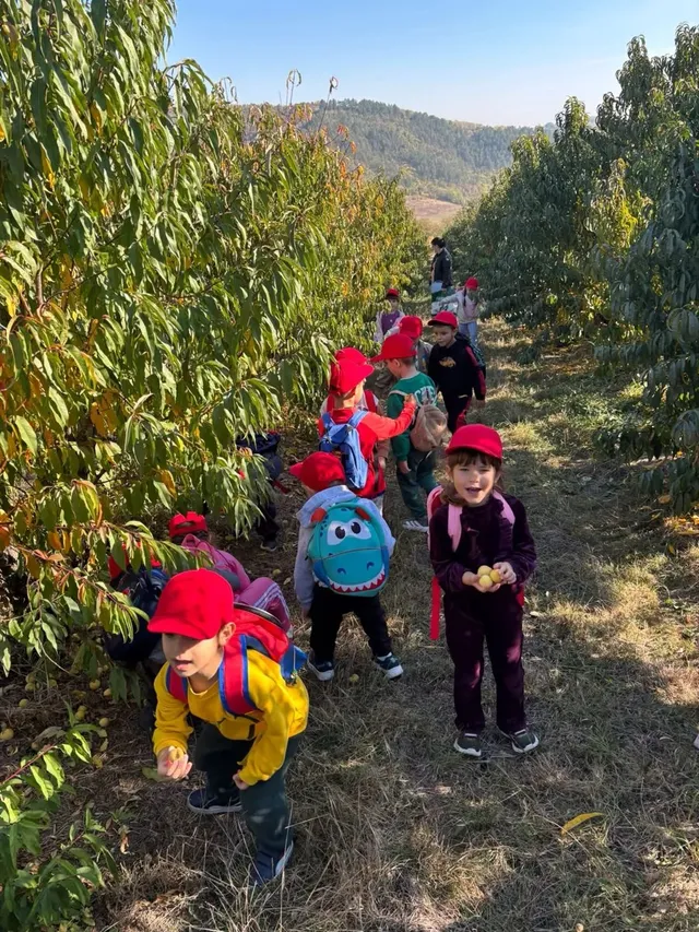 Mai mulți copii cu rucsacuri și șepci colorate merg pe o cărare între pomi; unul ține câteva obiecte mici în mâini.