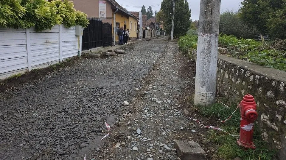 Un drum pietruit, cu șanțuri și bolovani, trece printre garduri și case; în prim-plan se află un stâlp și un hidrant roșu.