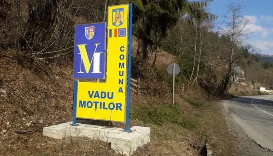 Două panouri colorate stau pe un soclu de beton lângă un drum asfaltat, între vegetație uscată, copaci și clădiri îndepărtate.