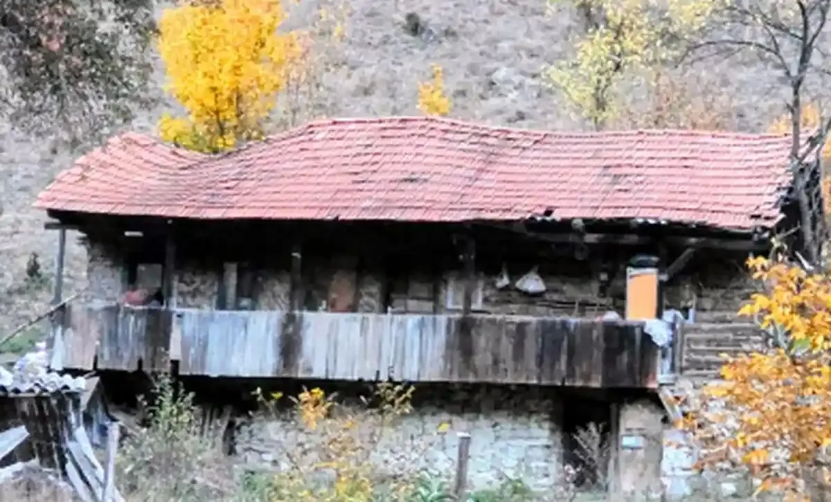 O casă cu acoperiș roșu și balcon din lemn se află între copaci cu frunze galbene.