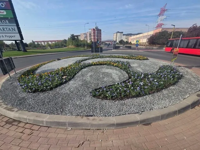Un sens giratoriu are insule curbate cu pietriș gri și flori, înconjurate de carosabil, clădiri și un autobuz roșu.