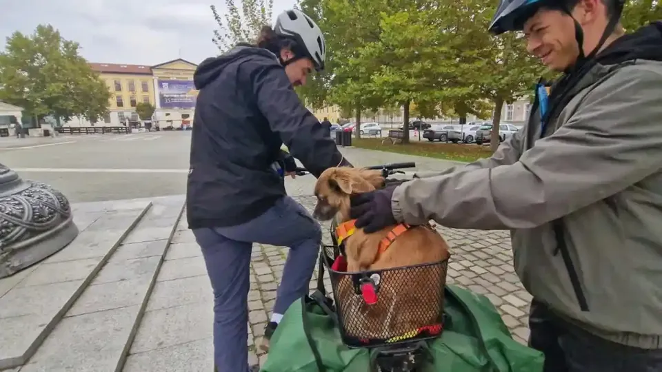 Două persoane cu căști se află lângă biciclete, iar un câine stă într-un coș montat pe una dintre ele.