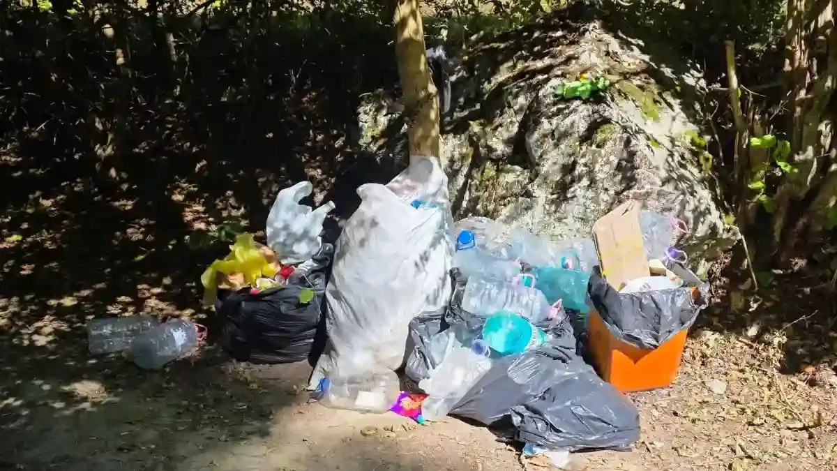 Mai mulți saci, bidoane din plastic și cutii de carton sunt îngrămădite pe pământ, lângă o stâncă și copaci.