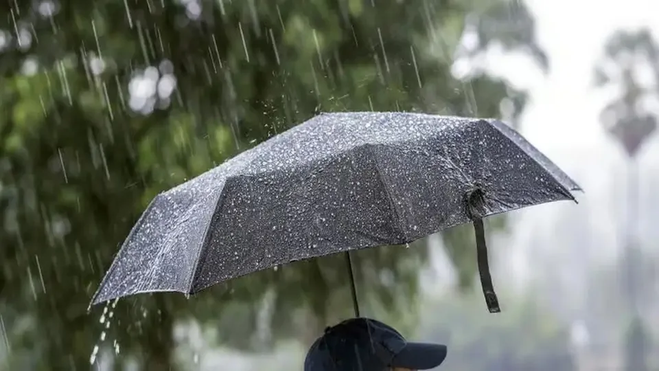O umbrelă închisă la culoare acoperă parțial o persoană cu șapcă; ploaia cade în fața unor copaci neclari.