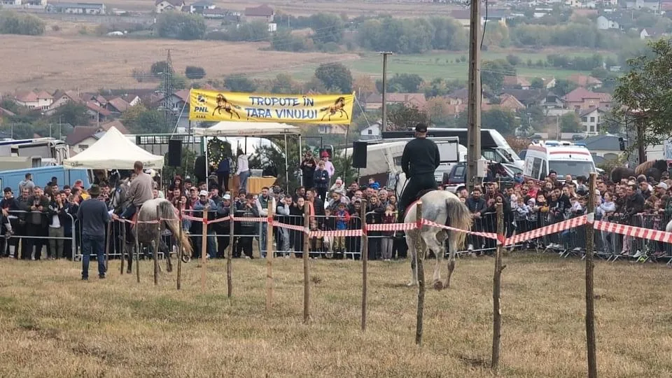 Mai mulți cai și călăreți se află într-un țarc cu iarbă, în fața unei mulțimi, a unor corturi și a unui banner galben.