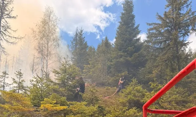 Fum deschis la culoare se ridică printre copaci, iar două persoane se află pe terenul acoperit cu vegetație; o structură roșie apare în prim-plan.
