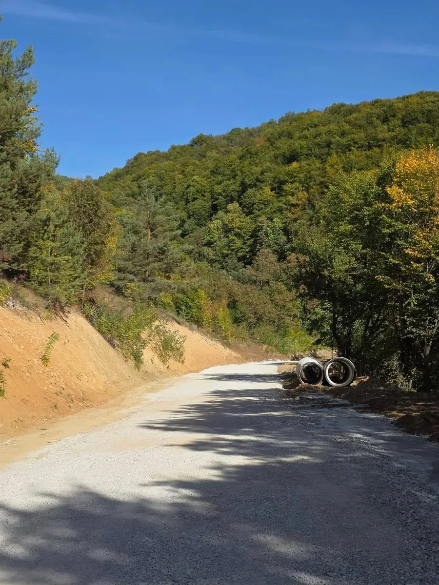 Un drum neasfaltat traversează o zonă împădurită, iar două tuburi mari sunt așezate pe marginea din dreapta.