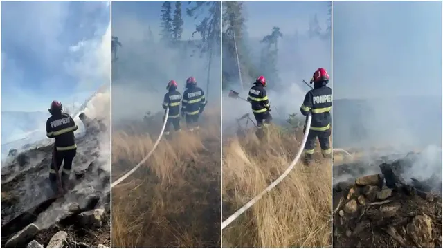 Patru cadre verticale arată pompieri cu furtunuri printre iarbă uscată, bușteni înnegriți și fum dens.