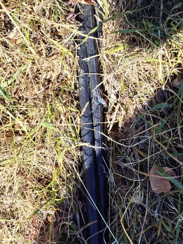 Un cablu negru traversează vertical iarba uscată, iar pe el se vede o mică zonă albastră și lucioasă.