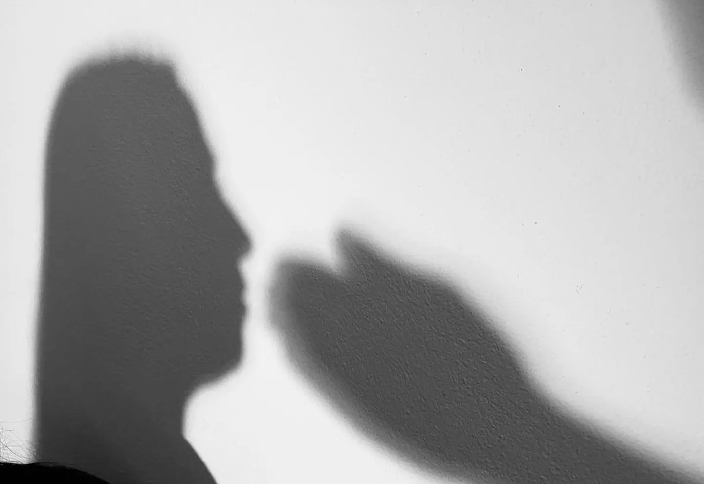 Pe un fundal deschis apar două umbre întunecate: profilul unei persoane în stânga și o mână ridicată în dreapta.
