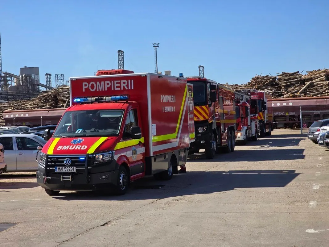 Mai multe autospeciale roșii de pompieri sunt aliniate pe un drum industrial, lângă autoturisme parcate și stive mari de lemn.