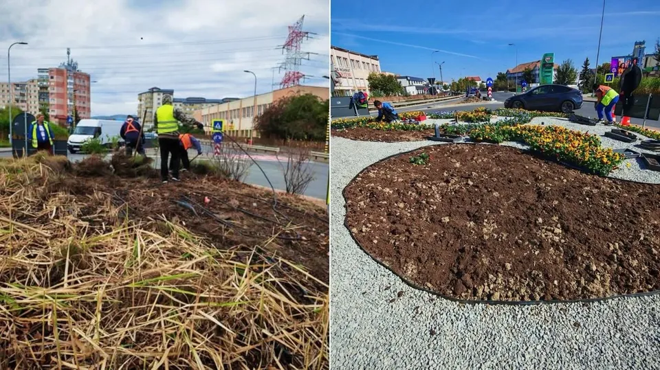 Un colaj arată mai mulți oameni lângă un rond cu pământ și vegetație uscată, iar alături ronduri cu pietriș și flori colorate.