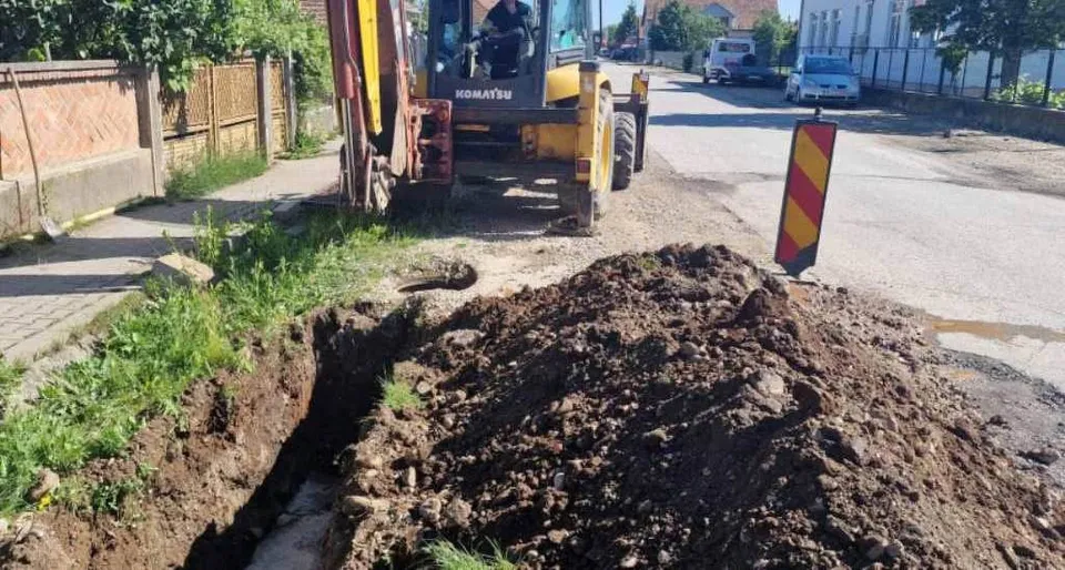 Fotografie din sursa articolului.