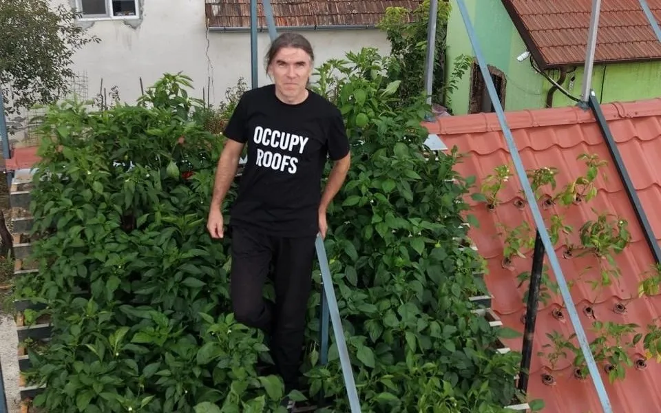 O persoană îmbrăcată în negru stă printre plante dese, lângă un acoperiș roșu și bare metalice.