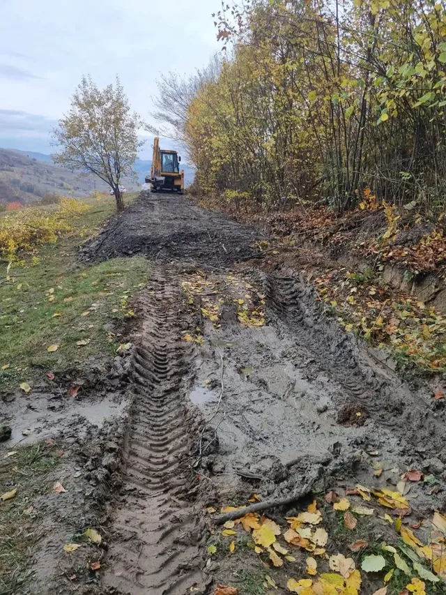 Un drum de pământ cu noroi și urme adânci de șenile duce spre un utilaj galben, între copaci și vegetație.