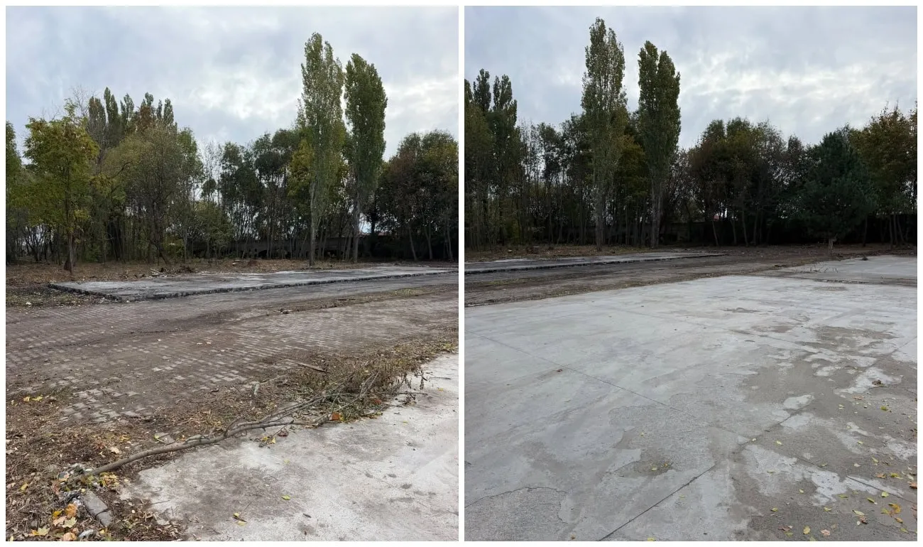 Două imagini alăturate arată o suprafață de beton cu porțiuni de pământ, frunze și resturi vegetale, mărginită de copaci.