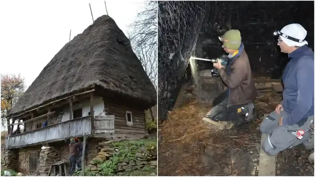 Fotografie din sursa articolului.