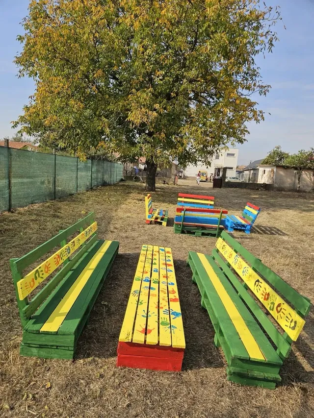Mai multe bănci din lemn, vopsite în verde, galben, roșu și albastru, sunt așezate pe un teren cu iarbă uscată, sub un copac.