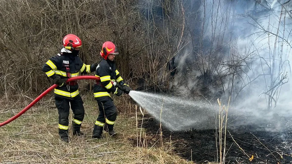 Doi pompieri în costume de protecție țin un furtun din care țâșnește apă spre vegetația înnegrită, în timp ce se ridică fum.